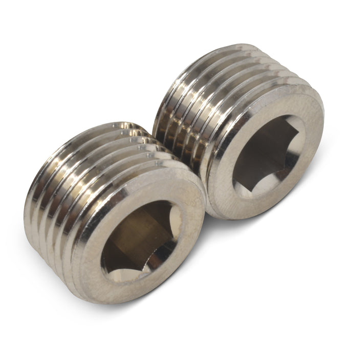 1/8 in NPT Straight NPT Plug <br> Fitting Size: 1/8 in NPT
