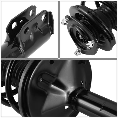 SHO-OE-00081-FLR-2