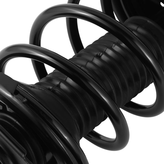 SHO-OE-00081-FLR-3
