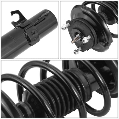 SHO-OE-00095-FLR-2