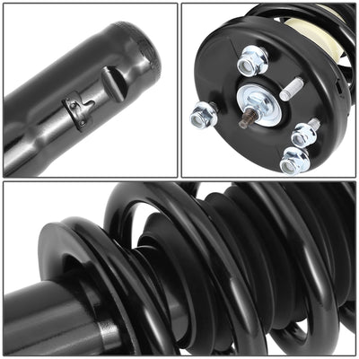 SHO-OE-00114-FLR-2