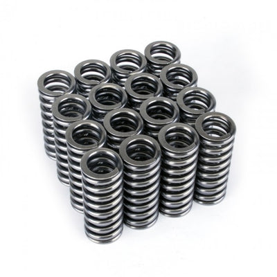 Valve Spring Set <br> Honda D-Series VTEC