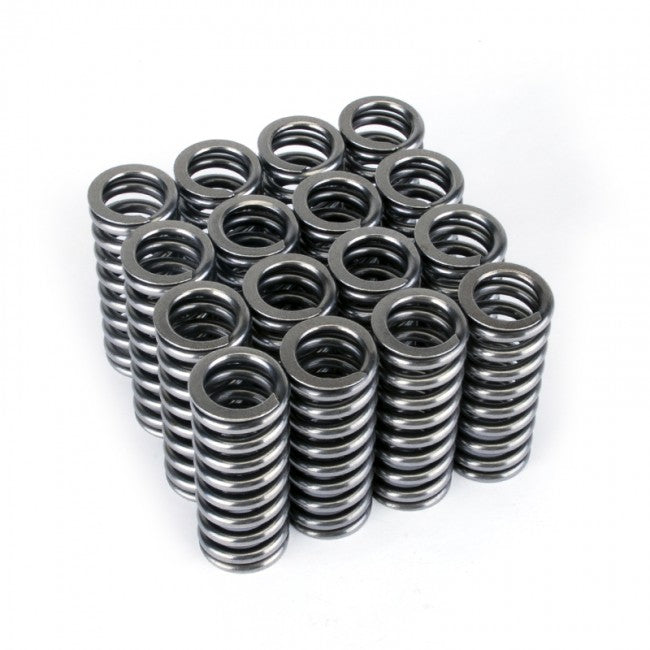 Valve Spring Set <br> Honda D-Series VTEC