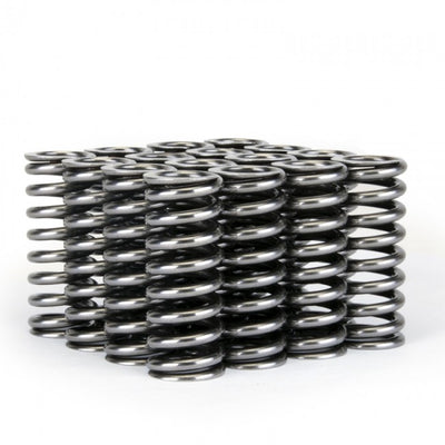 Valve Spring Set <br> Honda D-Series VTEC