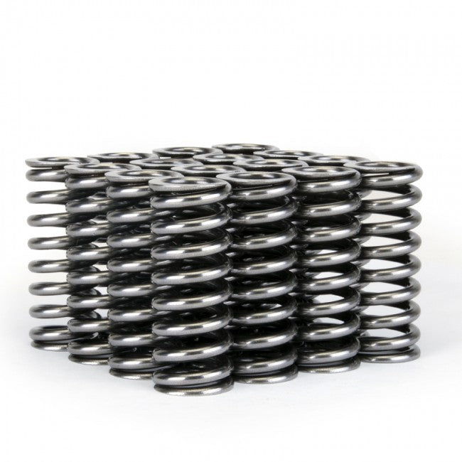 Valve Spring Set <br> Honda D-Series VTEC