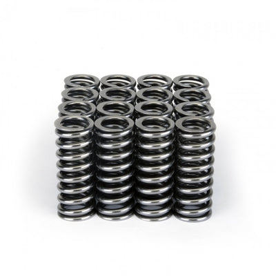 Valve Spring Set <br> Honda D-Series VTEC