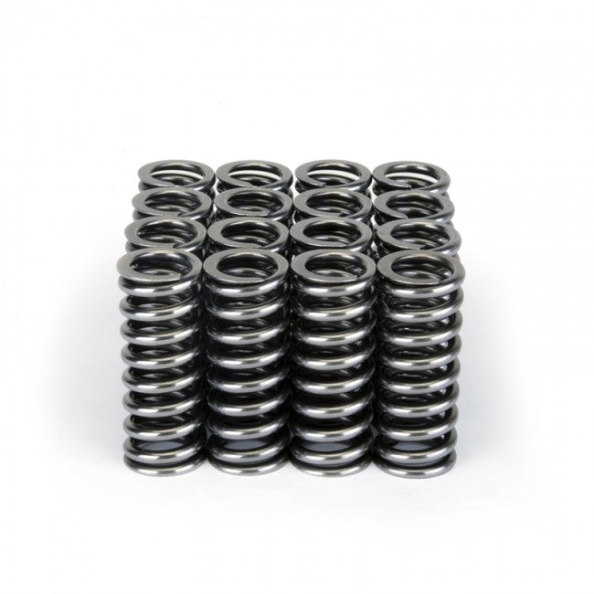 Valve Spring Set <br> Honda D-Series VTEC