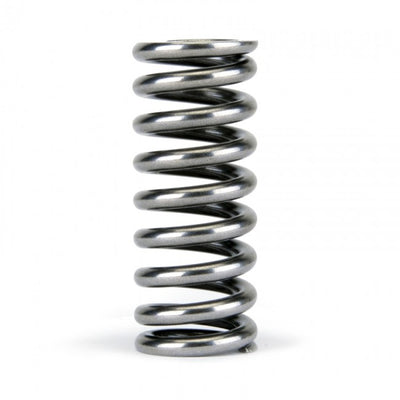 Valve Spring Set <br> Honda D-Series VTEC