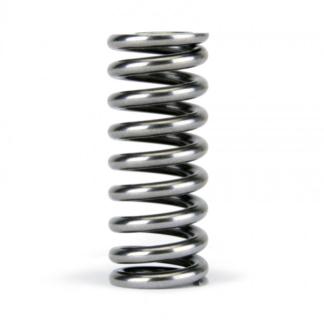 Valve Spring Set <br> Honda D-Series VTEC