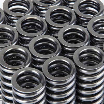 Valve Spring Set <br> Honda D-Series VTEC