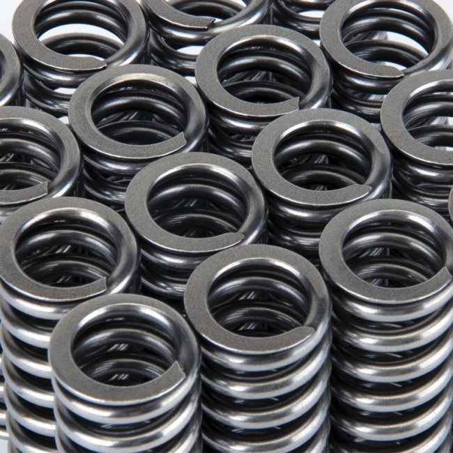 Valve Spring Set <br> Honda D-Series VTEC
