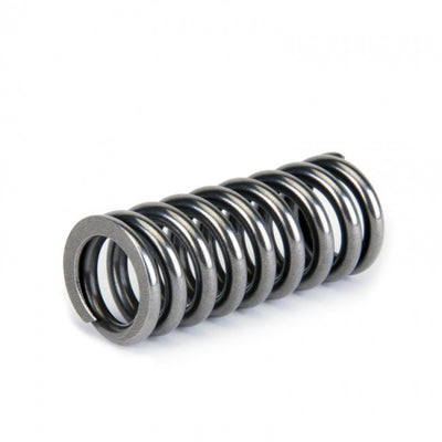 Valve Spring Set <br> Honda D-Series VTEC
