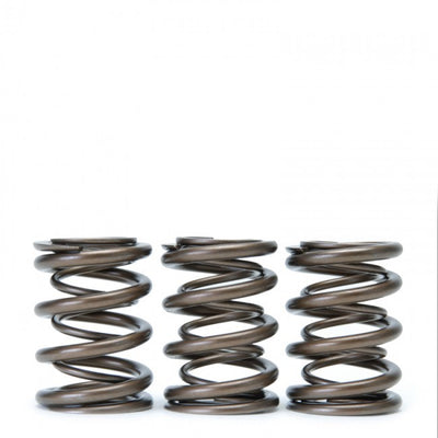 Tuner Series Alpha Valve Spring Set (Dual Springs) <br> Honda B16A/B17A/B18C