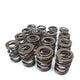 Tuner Series Alpha Valve Spring Set <br> Honda H22A/F20B