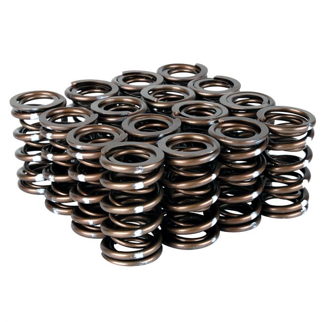 Valve Spring Set (Dual Springs) <br> Honda B-Series VTEC