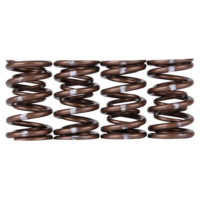 Valve Spring Set (Dual Springs) <br> Honda B-Series VTEC