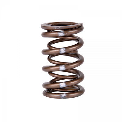 Valve Spring Set (Dual Springs) <br> Honda B-Series VTEC