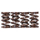 Valve Spring Set (Dual Springs) <br> Honda K-Series VTEC
