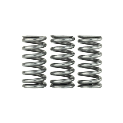 Ultra Valve Springs and Spring Base Kit <br> Honda L15B7