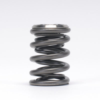 Valve Spring and Titanium Retainer Kit <br> Honda B-Series