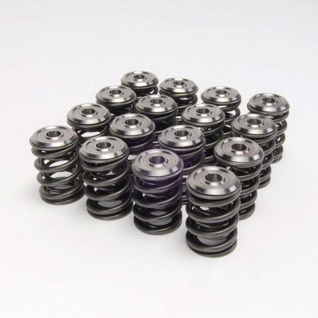 Valve Spring and Titanium Retainer Kit <br> Honda B-Series