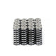 Alpha Series Valve Spring and Titanium Retainer Kit <br> Honda D16 VTEC