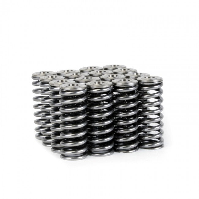 Alpha Series Valve Spring and Titanium Retainer Kit <br> Honda D16 VTEC