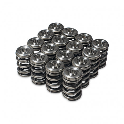 Valve Spring and Titanium Retainer Kit <br> Honda H-Series