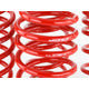 2.25in - 2.00in. Lowering Springs (Set of 4) <br> 06-09 Honda Civic