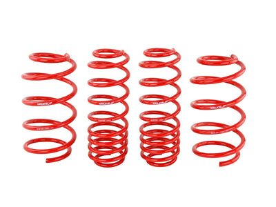 Lowering Springs (Set of 4) <br> 07-12 Honda Civic Type-R