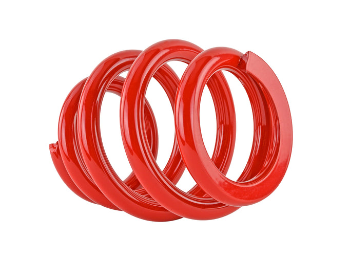 6 in.L - 2.5 in. ID Elliptical Race Spring (14kg/mm) <br> Honda Universal