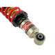 Pro S II Coilovers (10K/10K Spring Rates) <br> 02-04 Acura RSX