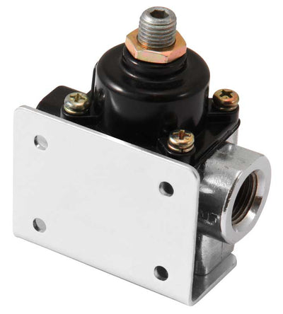 Fuel Pressure Regulator <br>Universal