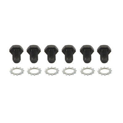 Flex Plate Bolts GM <br>Universal
