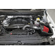 Air Intake Kit <br>12-14 Ford F-150