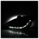 DRL Black Projector Headlights <br>00-04 Ford Focus