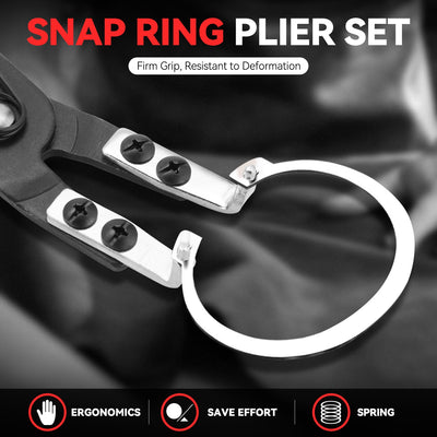 2Pcs 10 in. Multiple Angle Circlip Plier Set w/Case