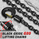 1 Ton Hand Chain Hoists w/Load Chain <br> Dimension ( in.): 5.5 L X 5 W X 8.3 H