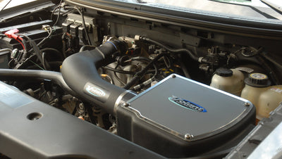 Pro5 Closed Box Air Intake <br> 04-05 Ford F-150