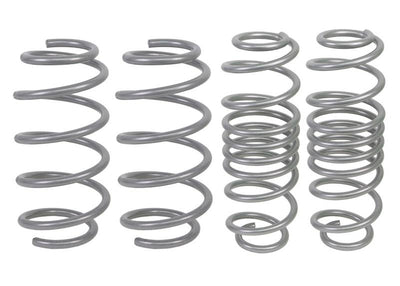 Performance Lowering Kit<br>11-19 Ford Fiesta