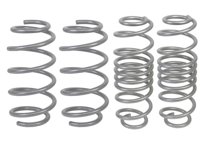 Performance Lowering Kit<br>11-19 Ford Fiesta