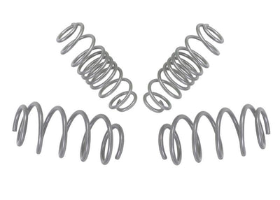 Performance Lowering Kit<br>11-19 Ford Fiesta