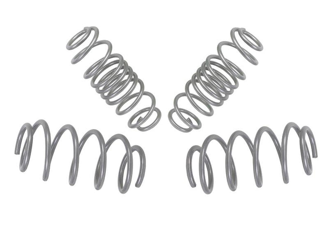 Performance Lowering Kit<br>11-19 Ford Fiesta