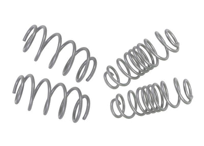 Performance Lowering Kit<br>11-19 Ford Fiesta
