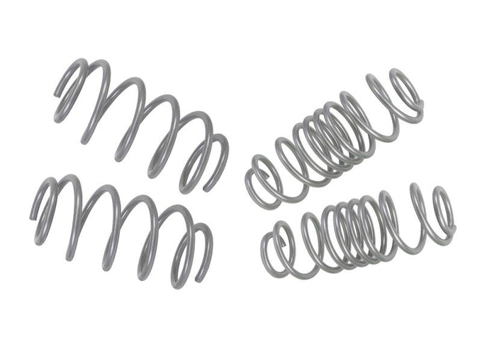 Performance Lowering Kit<br>11-19 Ford Fiesta