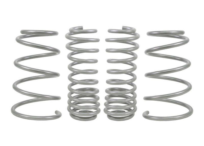 Performance Lowering Kit<br>05-14 Ford Mustang