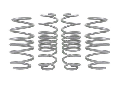 Performance Lowering Kit<br>14- Ford Fiesta