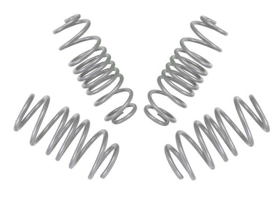 Performance Lowering Kit<br>14- Ford Fiesta