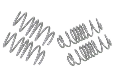 Performance Lowering Kit<br>14- Ford Fiesta