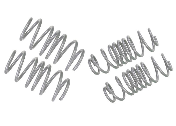 Performance Lowering Kit<br>14- Ford Fiesta